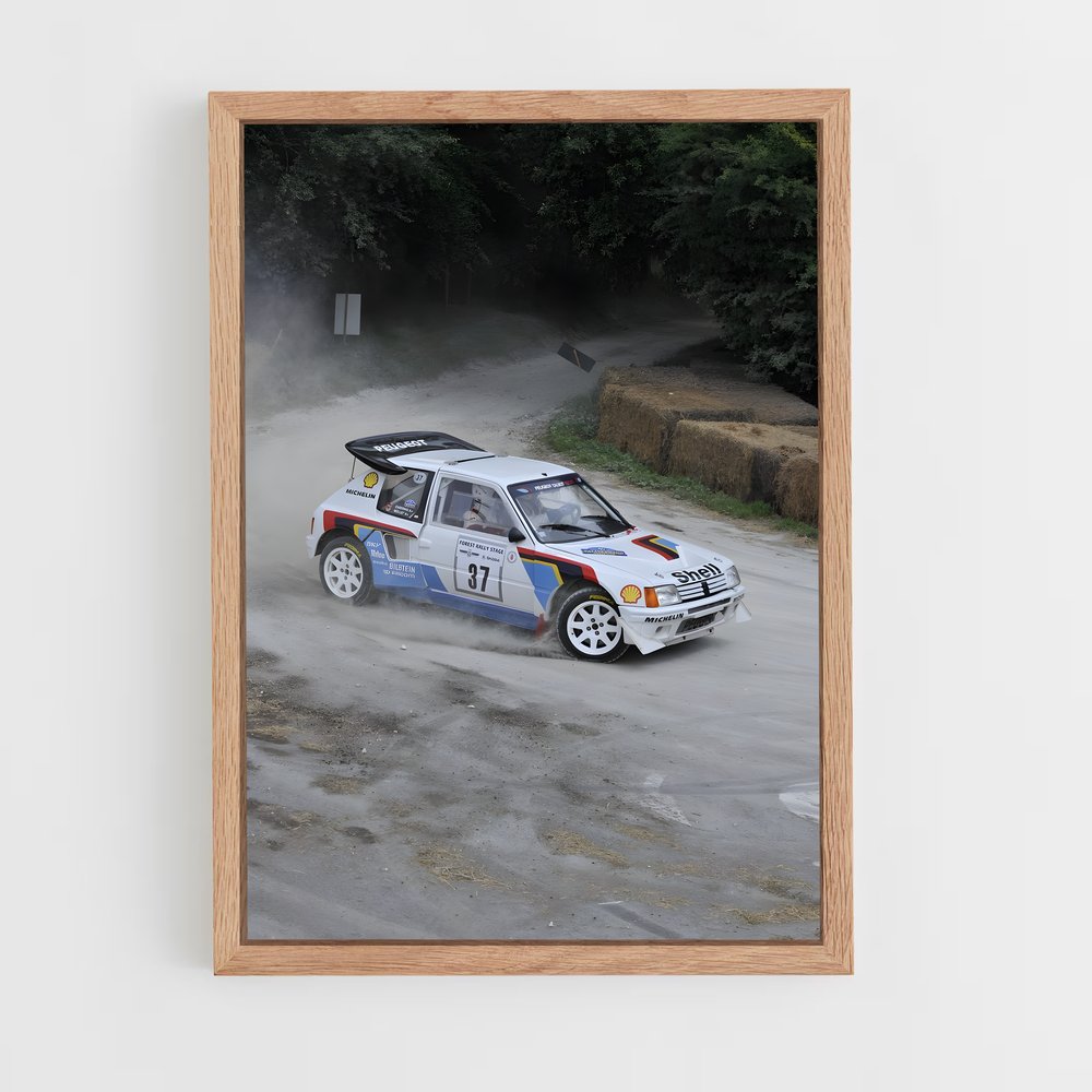 Poster impressionnant de rallye – affiche Peugeot (vue 4)